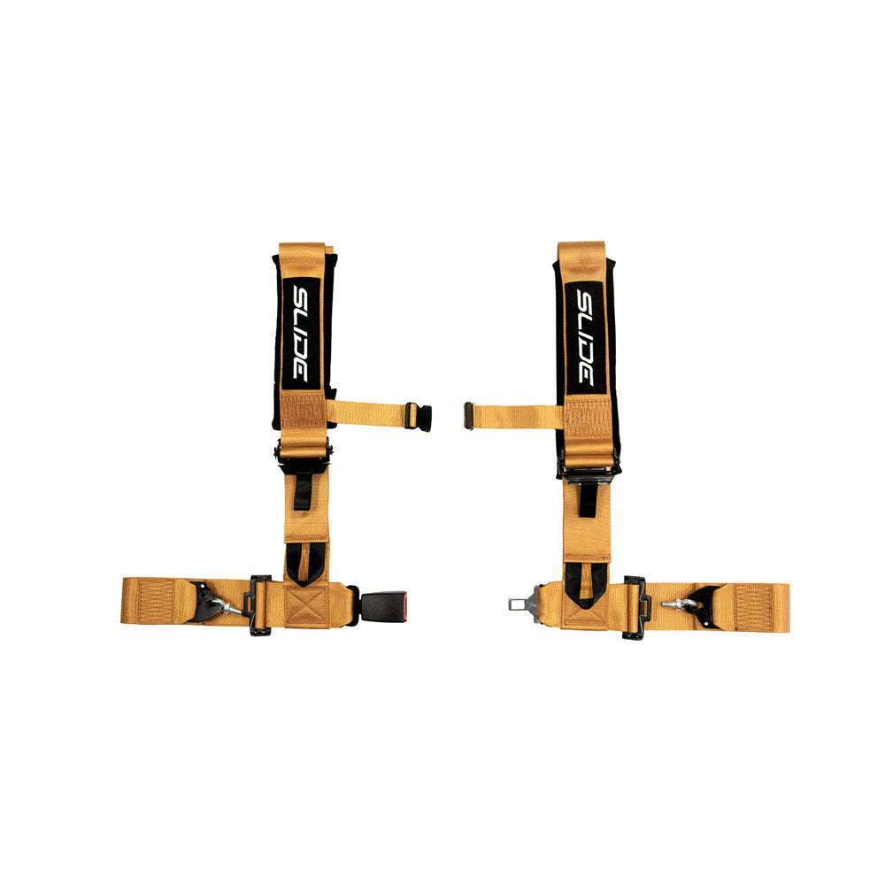 SLIDE V2 4-Punkt Sicherheitsgurt 3" gold (E4)