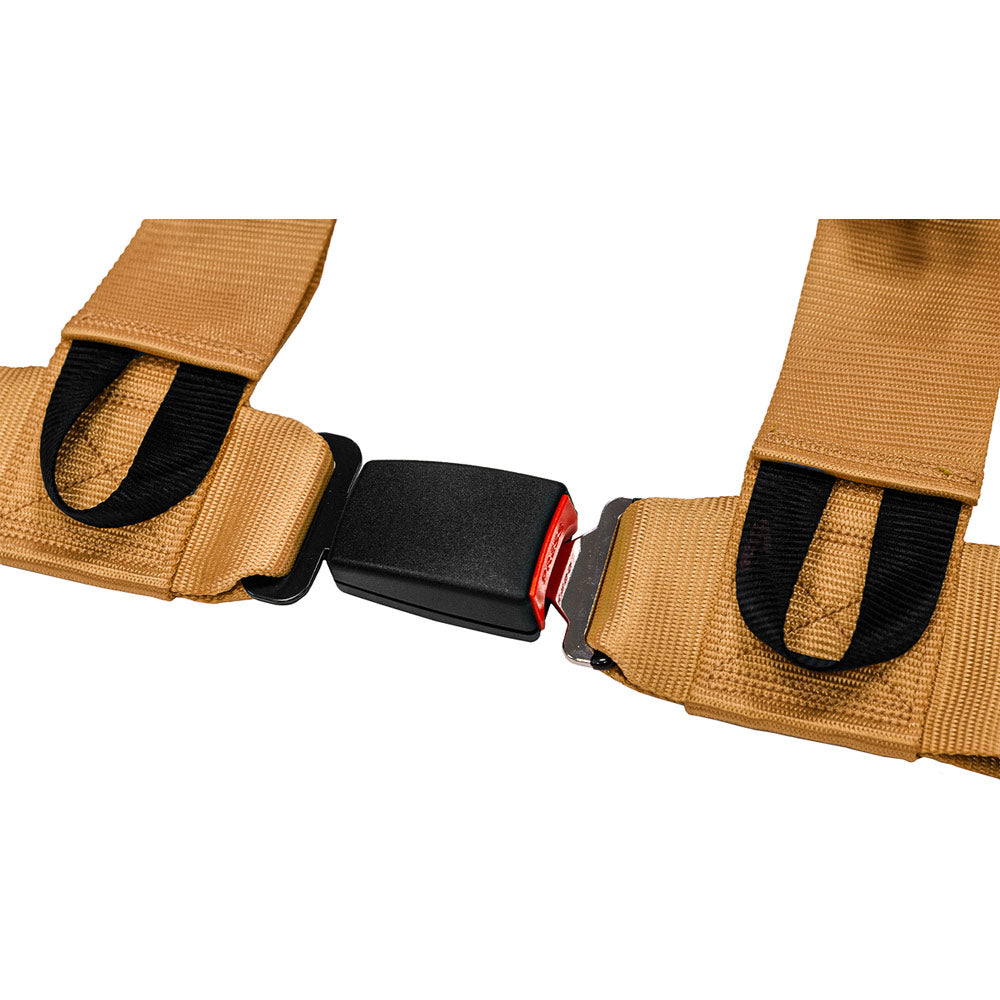 SLIDE V2 4-Punkt Sicherheitsgurt 3" gold (E4)