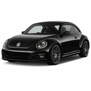 VW New Beetle