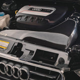 RTMG PERFORMANCE Carbon Ansaugung Kit passend für Audi S3 8V 2.0 TFSI EA888