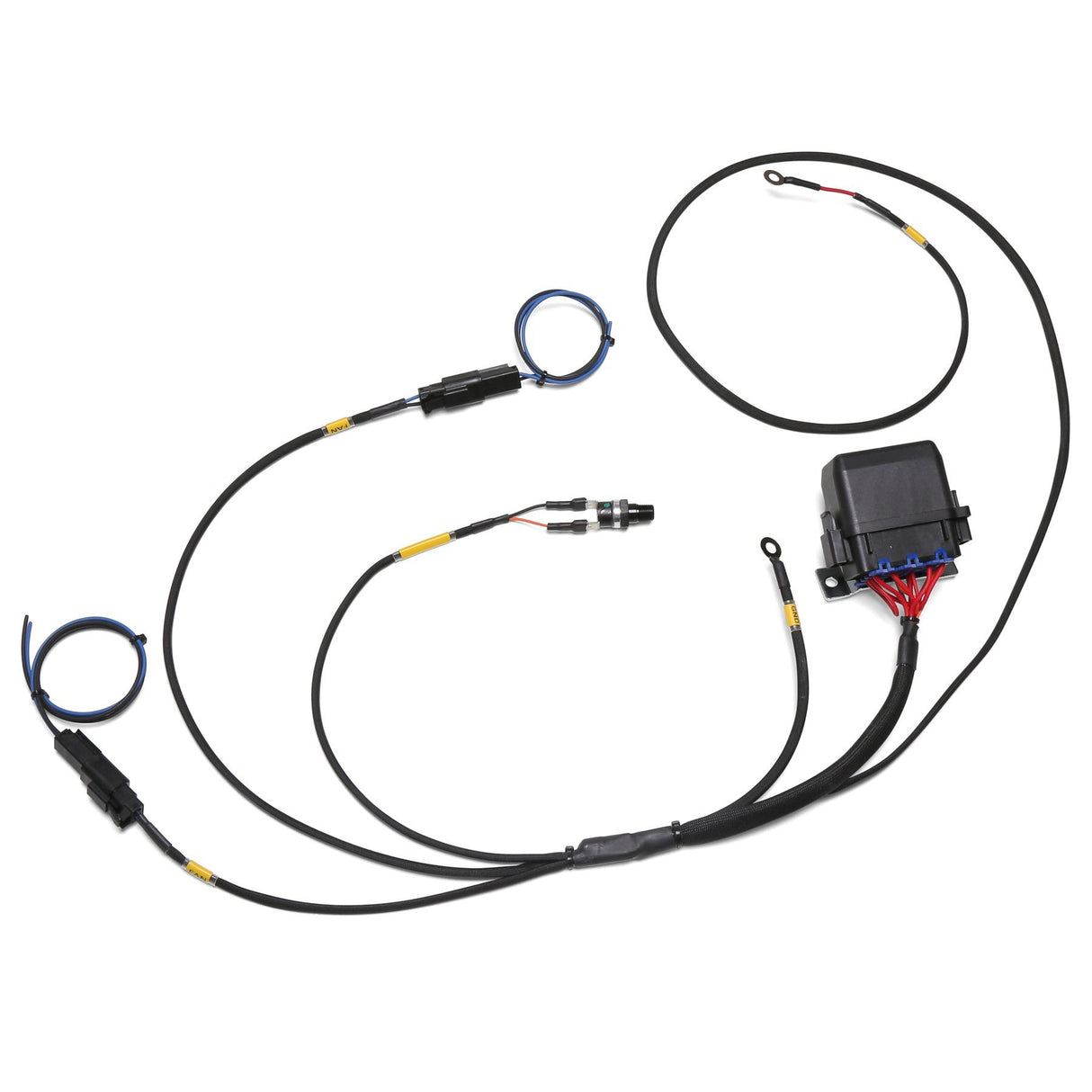 CHASE BAYS Motorkühler Dual Lüfter Kabelbaum mit 82°C Thermoschalter