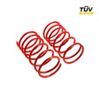 MTS TECHNIK Tieferlegungsfedern VW Caddy III (mit TÜV) - PARTS33 GmbH